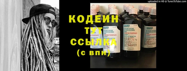 винт Инта