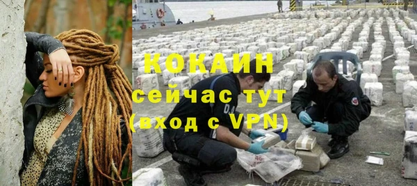 стаф Елизово