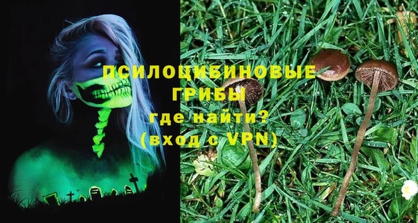 стаф Елизово