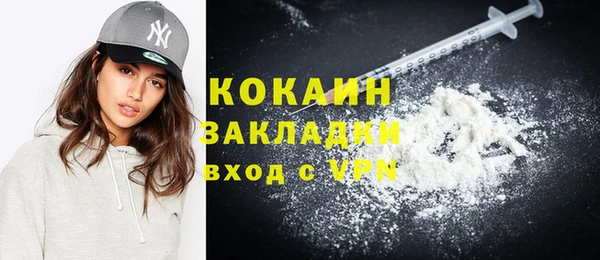 шишки Сясьстрой