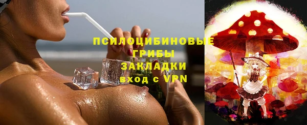 стаф Елизово