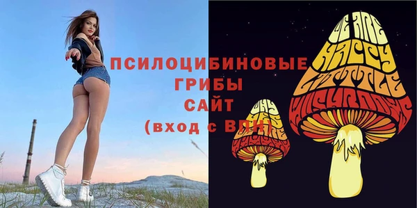 стаф Елизово